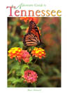 Adventure Guide to Tennessee